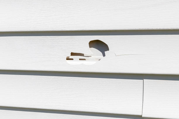 Best Siding for New Construction  in The College Of New Jersey, NJ